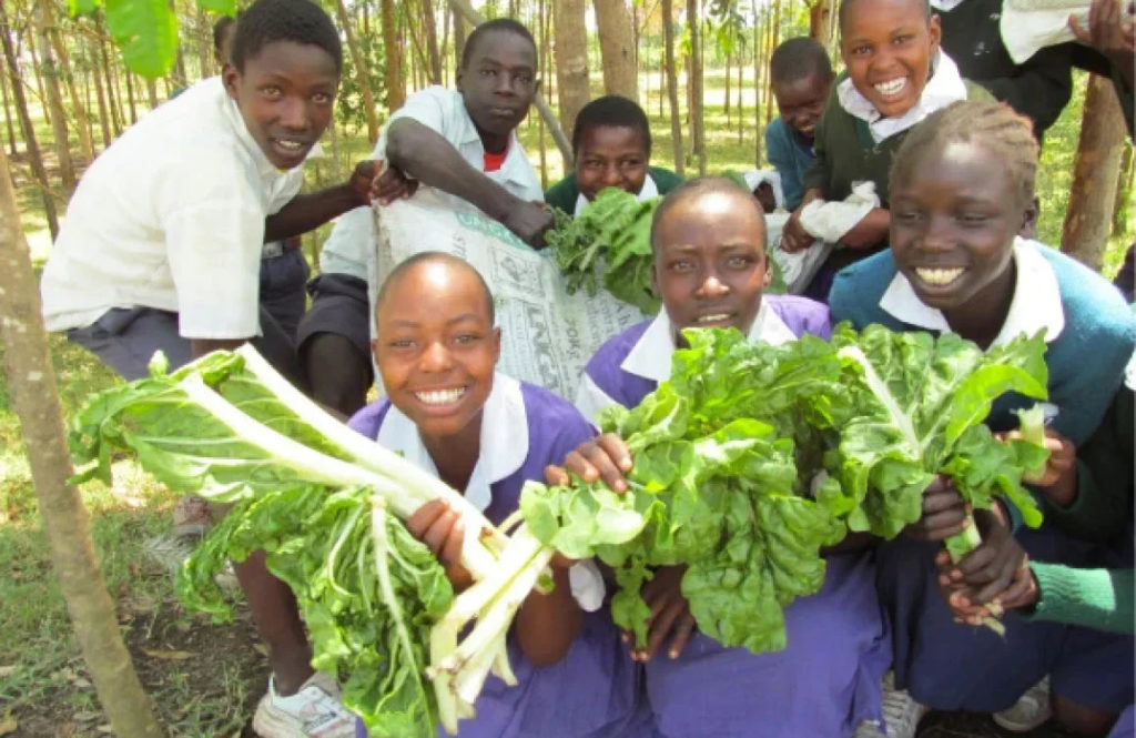 1doll10meals img9 2x 1500x 1054f658 d90e 4882 b471 8a645031e6e1 1512x